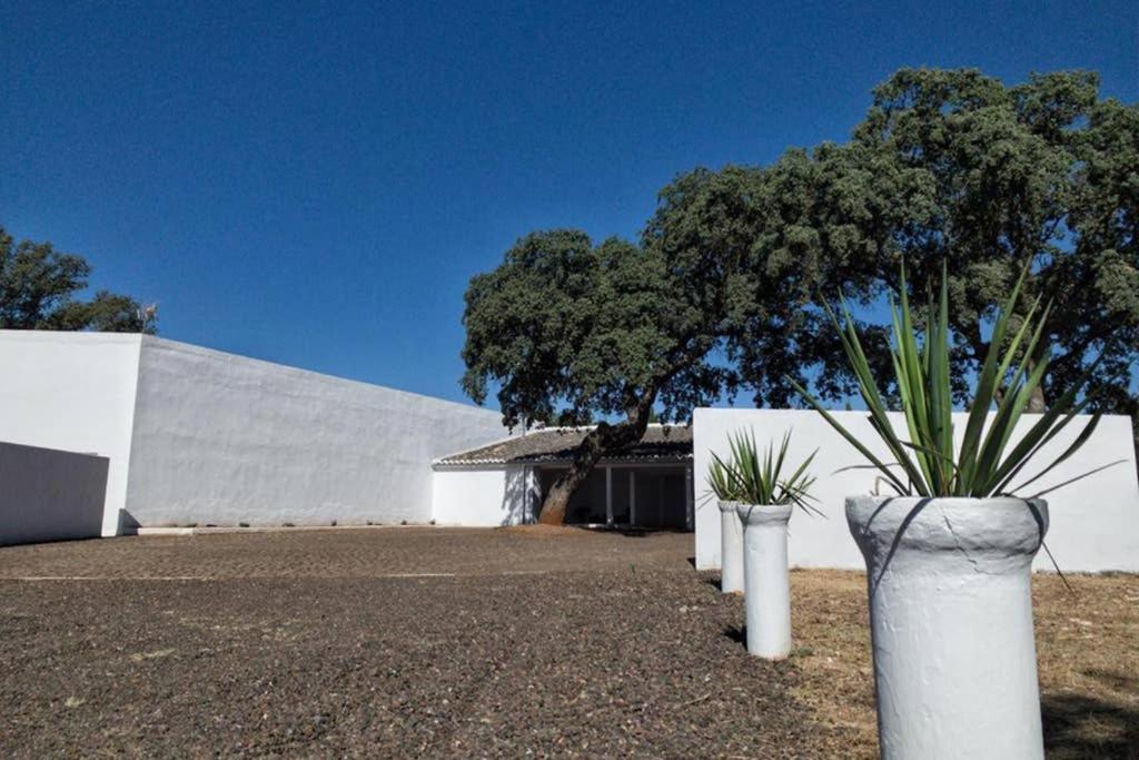 Casa del Príncipe Daimiel Exterior foto